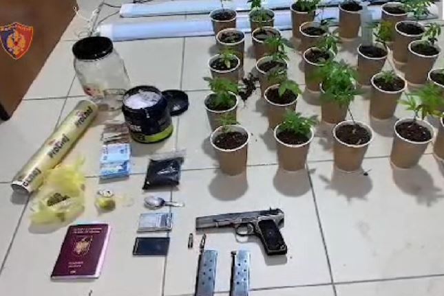 Operacioni antidrogë në Korçë godet grupin kriminal. Sekuestrohet drogë, armë dhe para