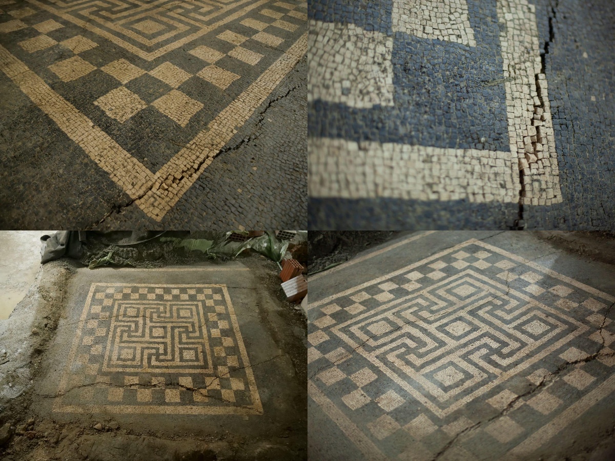 Mozaiku i Meandrit në Durrës, Sako: Kemi kërkuar zhvendosjen nga pallati drejt Muzeut Arkeologjik (FOTO)