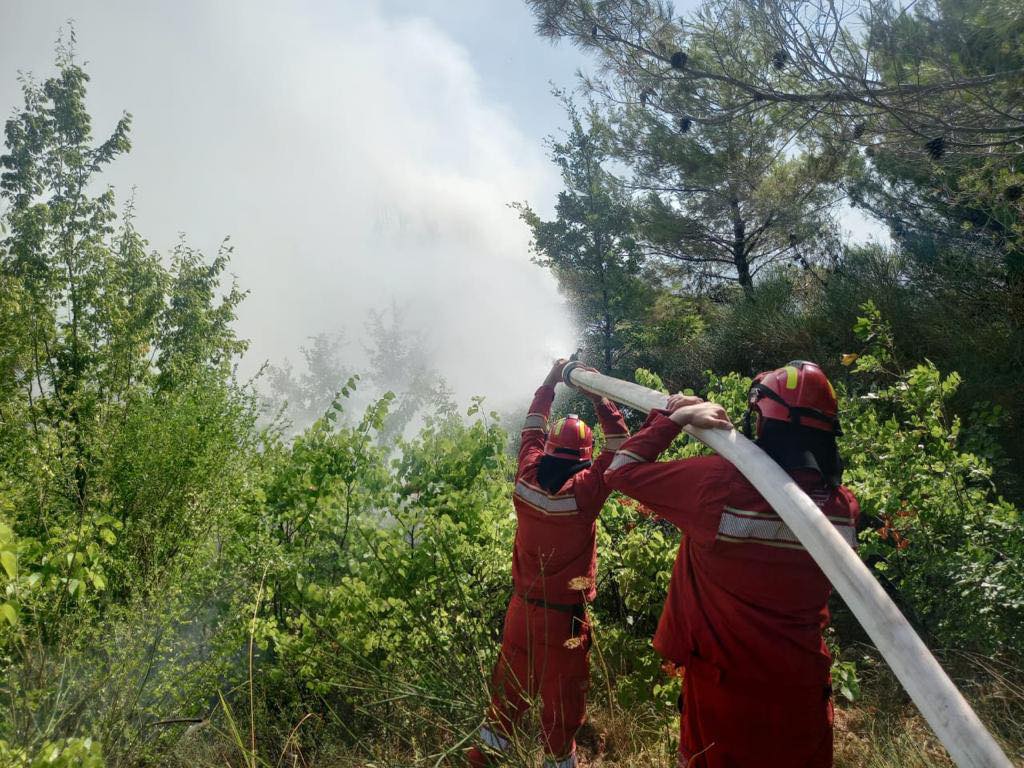 Zjarret, Peleshi: 5 vatra aktive të evidentuara sot. Në terren 144 efektivë të FA, 13 mjete, 3 zjarrfikëse dhe helikopteri Cougar