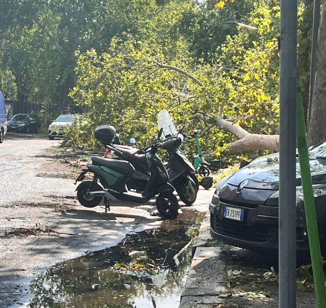 Moti i keq në Itali, 16-vjeçarja vdes pasi e zuri pema poshtë