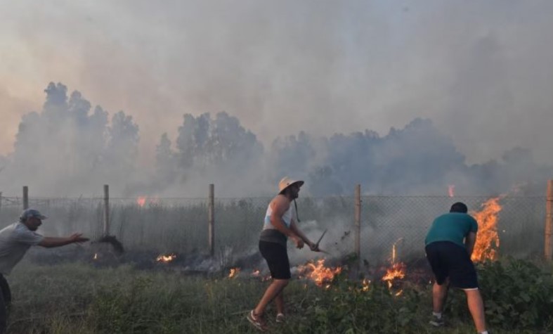 25 viktima nga zjarret në Algjeri