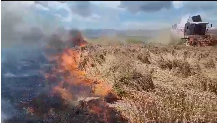 Digjen rreth 7 hektarë grurë në Sheqeras, zjarrfikësit ndërhyjnë për shuarjen e flakëve