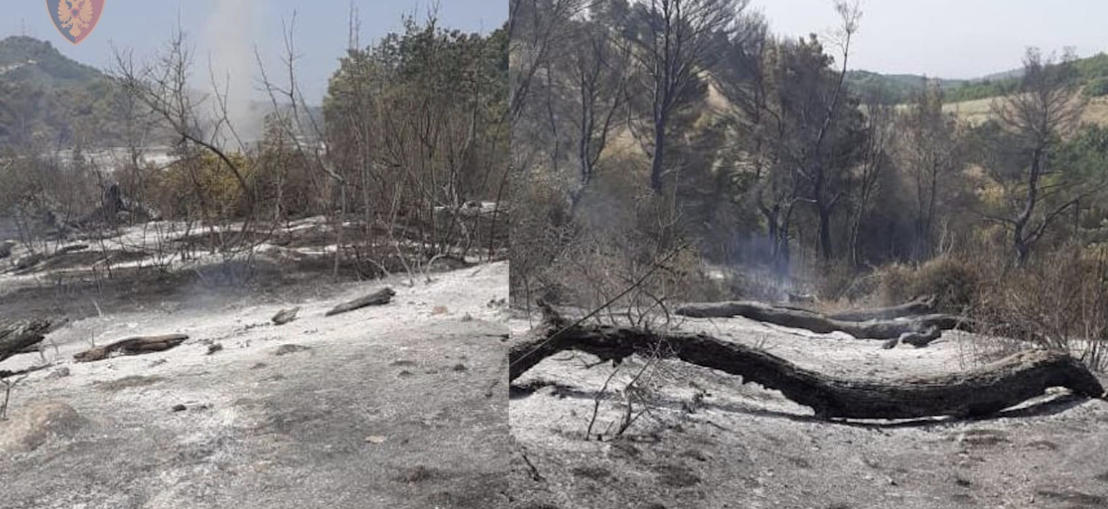 I vuri zjarrin pyjeve për kullotat, arrestohet autori 28-vjeçar