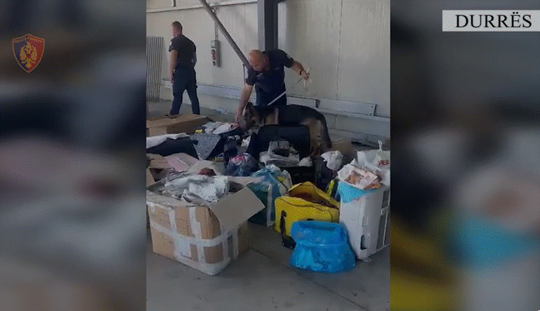 U gjetën mallra të padeklaruara në furgonin që vinte nga Italia në portin e Durrësit, pranga shoferit dhe pronarit të mjetit (VIDEO+EMRAT)