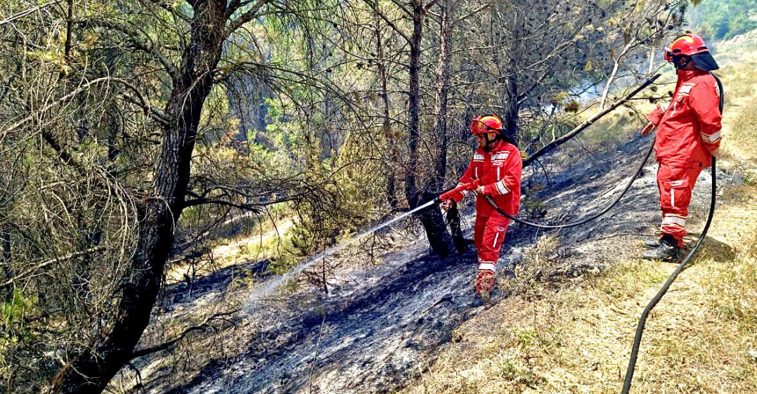 Situata e zjarreve në vend, Peleshi: Fiken disa vatra, vazhdon operacioni në vendgrumbullimin e mbetjeve në Vlorë