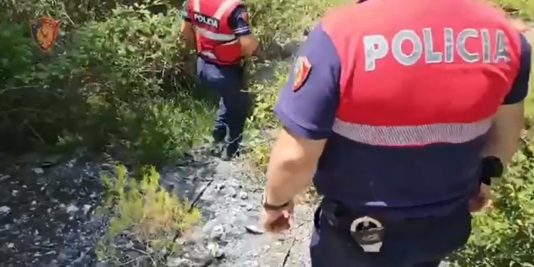 “Territor i pastër” vijon asgjësimin e bimëve të kanabisit, arrestohet një person