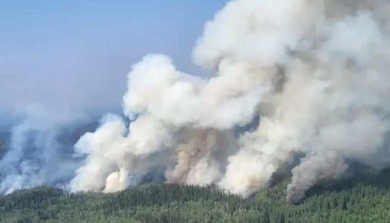 Rrëzohet për vdekje piloti i helikopterit zjarrfikës në Kanada