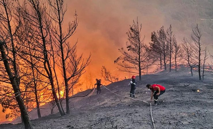 Zjarri në Rodos del jashtë kontrollit, evakuohen banorët e tre fshatrave