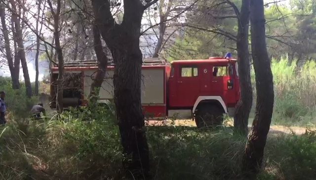 Zjarrfikëset shqiptare i shkojnë për ndihmë, Greqia i kthen pas: Nuk kemi më nevojë për ndihma tokësore