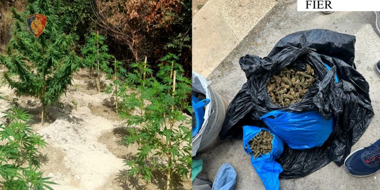 U kap me 1.7 kg kanabis, pranga 41-vjeçarit (EMRI)