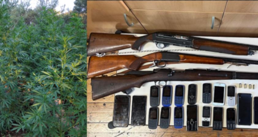 Autoritetet greke zbulojnë plantacionin me hashash, arrestohet shqiptari në Kretë