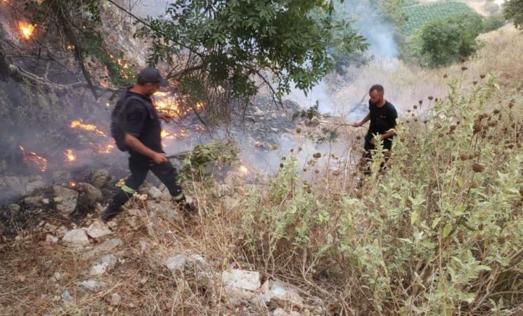 Zjarr në Belsh, digjen shkurre dhe pemë, rrezikohen disa banesa