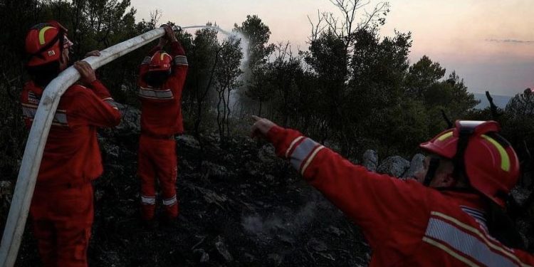 Situata me zjarret, Peleshi: Është shuar pjesa më e madhe e vatrave