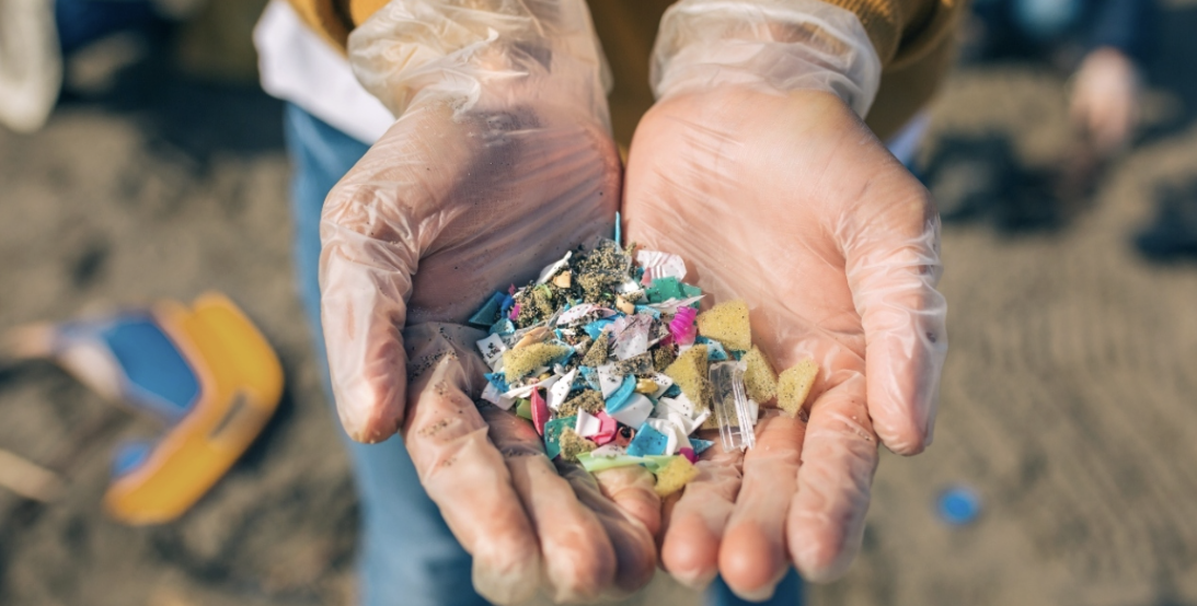 “Shqetësuese”, shkencëtarët zbulojnë për herë të parë mikroplastikë në zemrën e njeriut