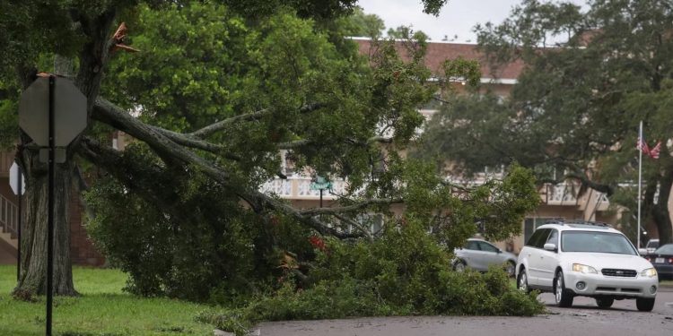 Uragani i fuqishëm Idalia arrin në Florida