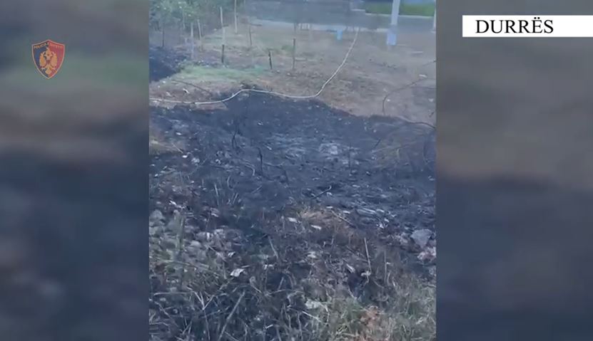 Një i arrestuar në Durrës, ndezi zjarr për të djegur mbeturina dhe dogji tokën e fqinjit (VIDEO)