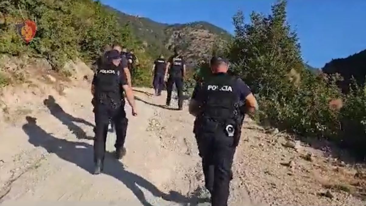 Arrestohen 3 ushtarakë në Zall Herr, kultivuan kanabis në repart (EMRAT)