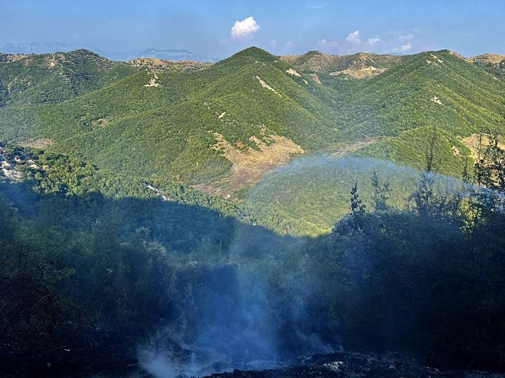 Zjarret në vend, Peleshi: Shuhen të gjithë vatrat aktive