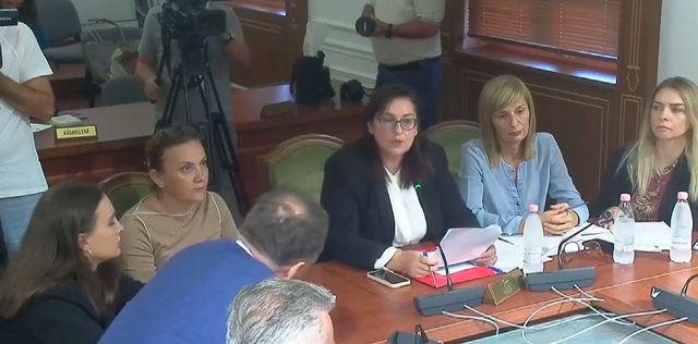 “Asnjë lekë më për fëmijët që lindin jashtë Shqipërisë”/ Debate në Komision për ndryshimin e ligjit për çekun e bebeve