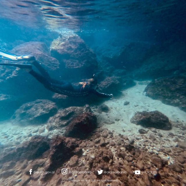 Pamje të veçanta nga bota nënujore e Karaburun-Sazan