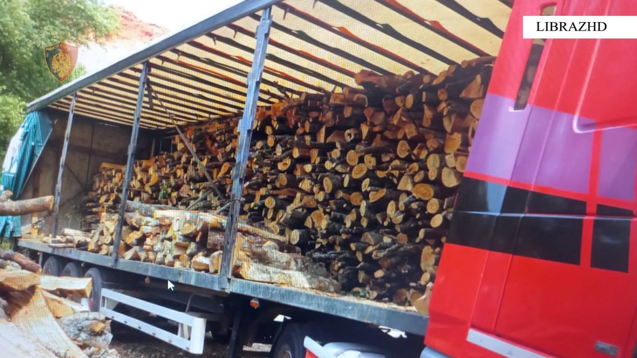 Fshihnin të ardhurat që gjeneronin nga shitja e druve për zjarr, ndiqen penalisht dy administratorët