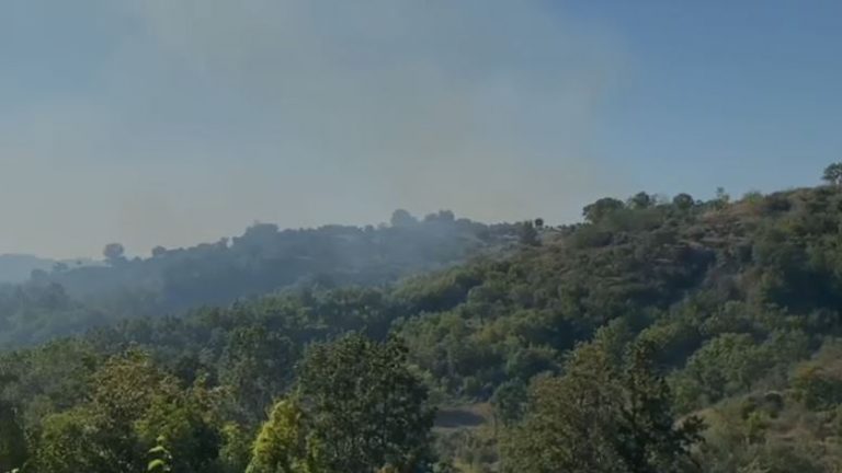 Zjarr në Bubq të Krujës, flakët djegin 4 ha ullishte e pyje, e pamundur ndërhyrja e zjarrfikësve