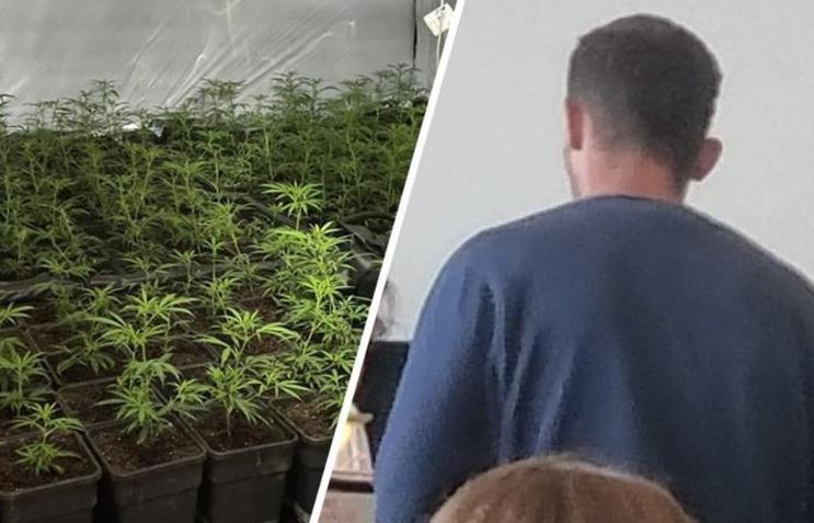 Përmbaruesi shkon për të sekuestruar sendet shtëpiake, por zbulon një plantacion droge, burg për shqiptarët në Belgjikë