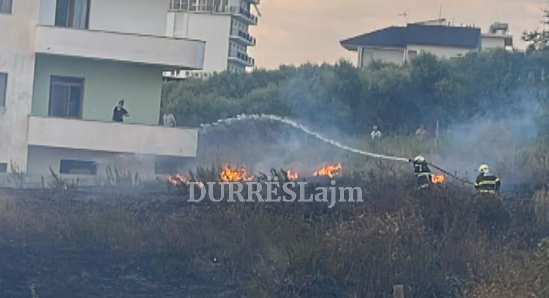 Durrës/ I vihet flaka shkurreve në Kodër-Arapaj, rrezikohen banesat (FOTO)