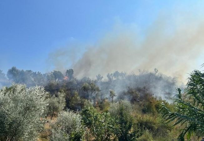 Ndezën zjarre, identifikohen dhe procedohen penalisht 3 autorë, 2 prej tyre të mitur