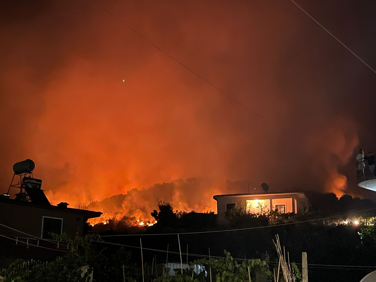 Zjarr masiv në kodrat me ullinj në Lushnjë, ja çfarë raportohet