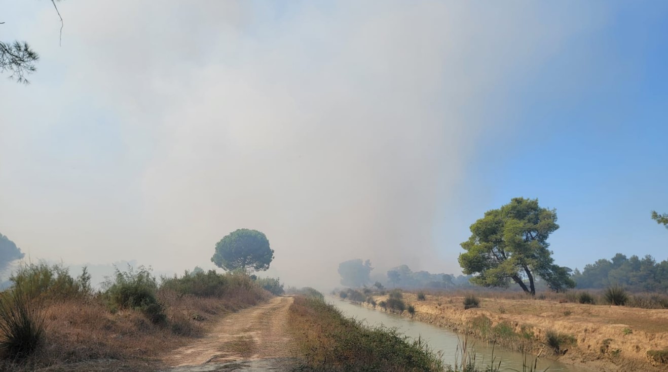 Prej dy ditësh në betejë me flakët, vijon të jetë aktiv zjarri në pyllin e Pishporos