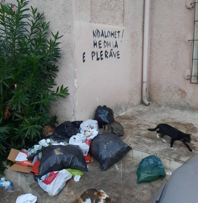 Ish-anëtari i KB Durrës denoncon: Pashë edhe një ish-drejtor shkolle të hidhte mbeturinat aty!