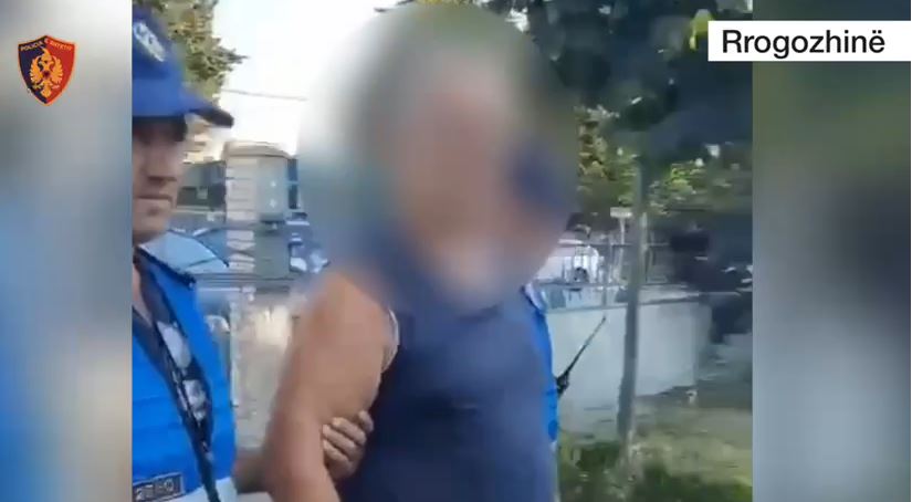 Policia arreston një tjetër autor të krimit të zjarrvënies (VIDEO)