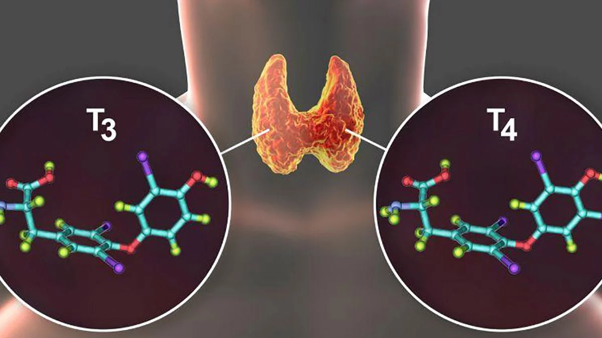 Zbulohen molekulat që ndihmojnë në diagnostikimin e një tumori të tiroides