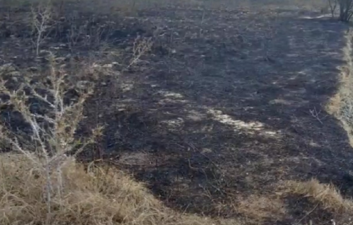 Hodhi cigaren dhe morën flakë sipërfaqet e mbjella të tokës, arrestohet 43-vjeçari