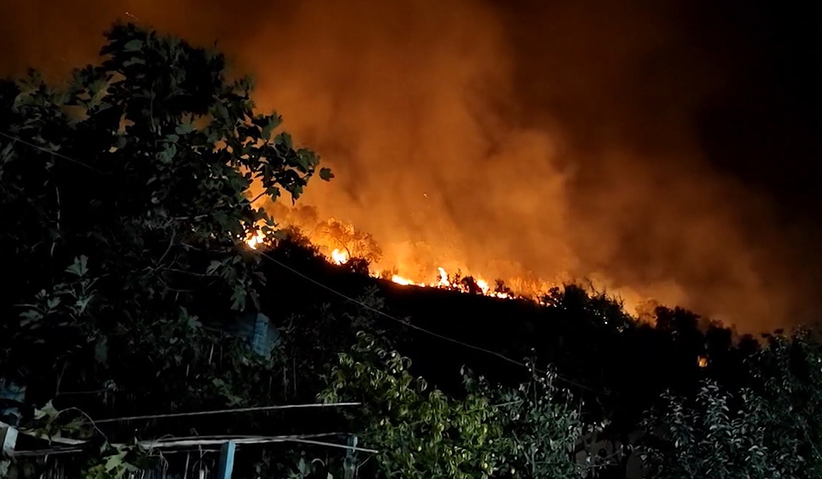 Digjen dhjetëra hektarë ullishte në Zhamë të Lushnjës, zjarri u shua në mëngjes