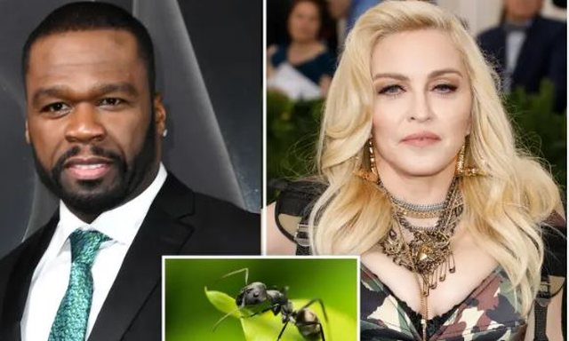 50 Cent &#8220;thumbon&#8221; Madonnën: Ku i ke bërë të pasmet&#8230;