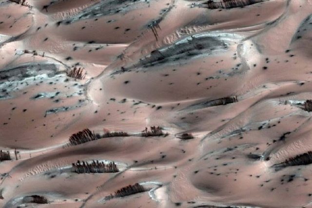 Fenomeni i pazakontë në Mars: Forma që ngjajnë shumë me pemët