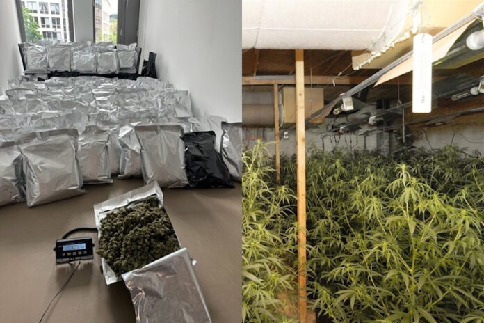 Policia gjermane: 23 shqiptarë të arrestuar në një vit, droga e sekuestruar me vlerë mbi 1 milionë euro