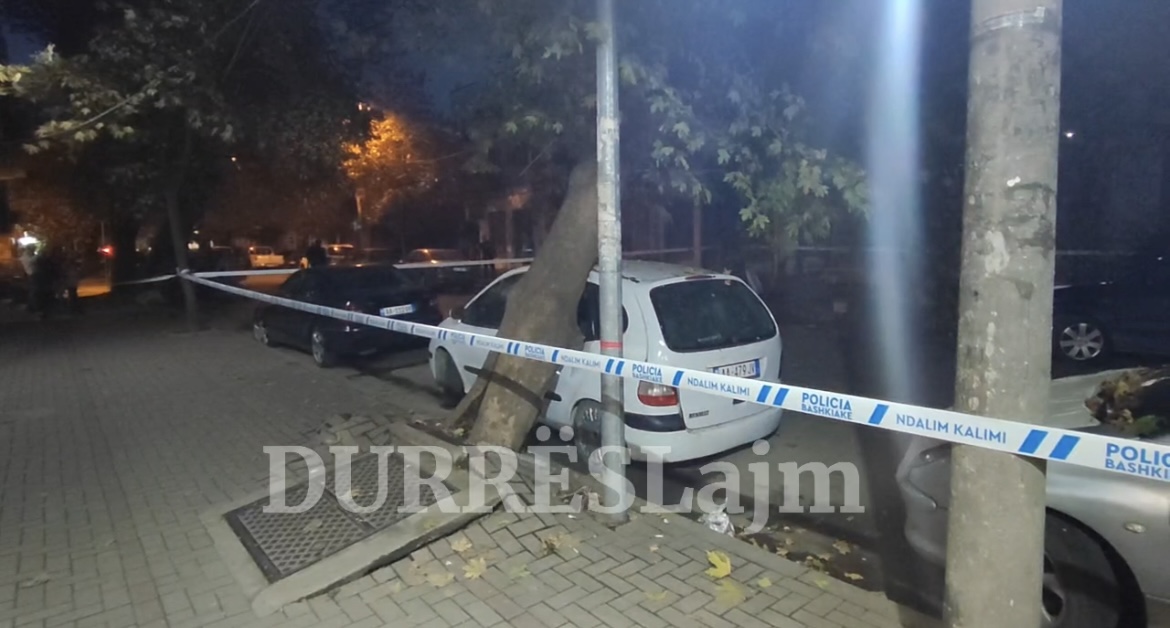 Durrës/ Rënia e pemës, ndërpritet energjia elektrike në zonë