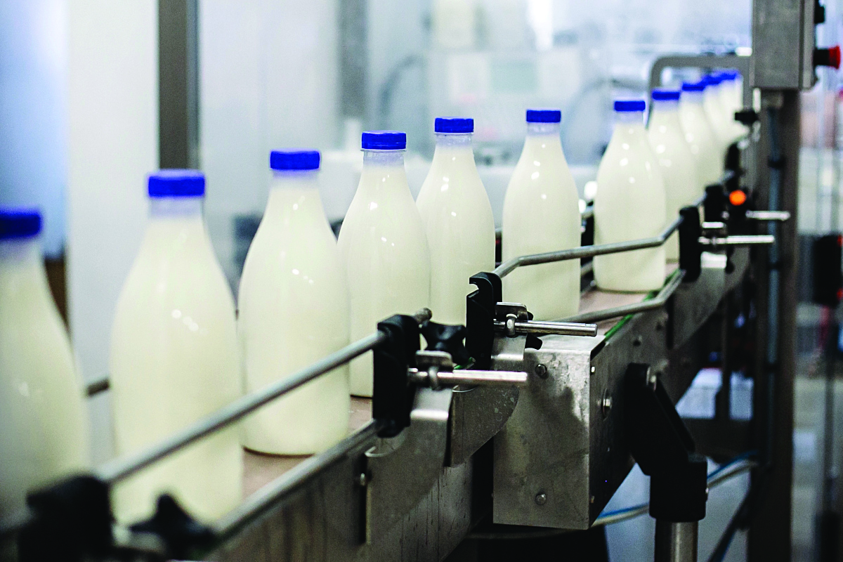 Importet e qumështit për 9-mujorin u rritën 27%; Përpunuesit: Prodhimi vendas nuk garanton sasi nga mbyllja e fermave të vogla