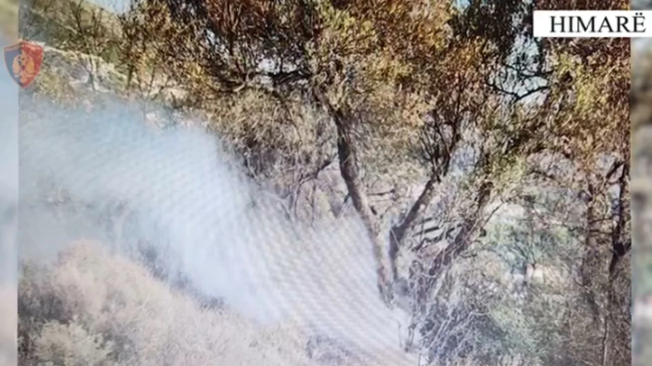 Zjarri për djegien e barishteve u përfshiu tokat, arrestohen dy persona