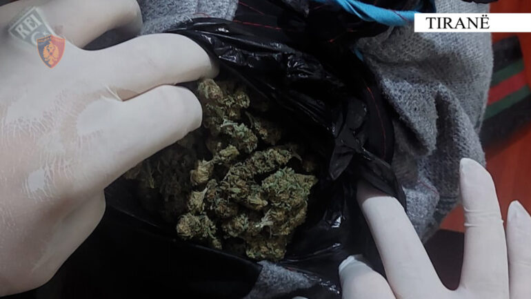 Shisnin kanabis në Kamëz dhe Vorë, përfundojnë në pranga dy shpërndarësit