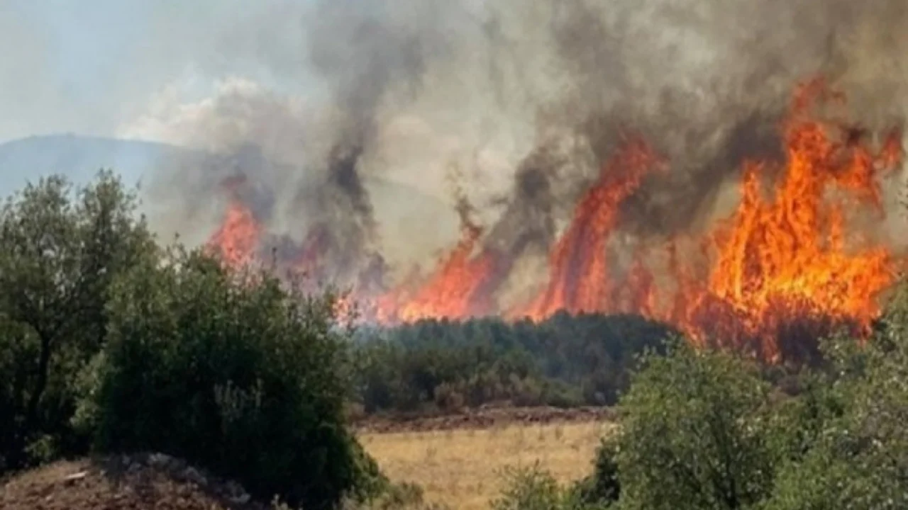 ​Shpërthen zjarri në Korfuz, evakuohen dy fshatra