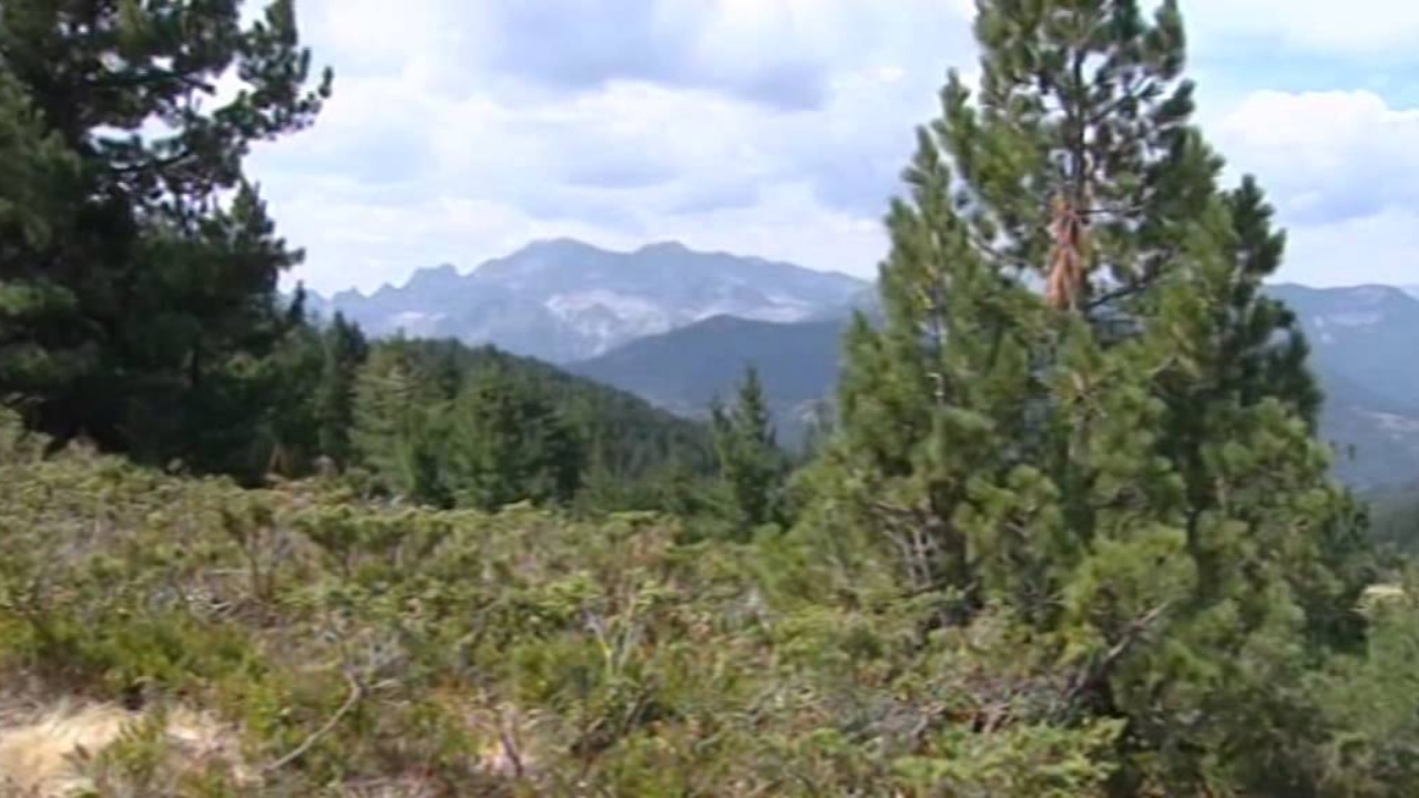 Kishte dalë që ditën e djeshme në bjeshkët e Pojanit, i moshuari gjendet i pajetë