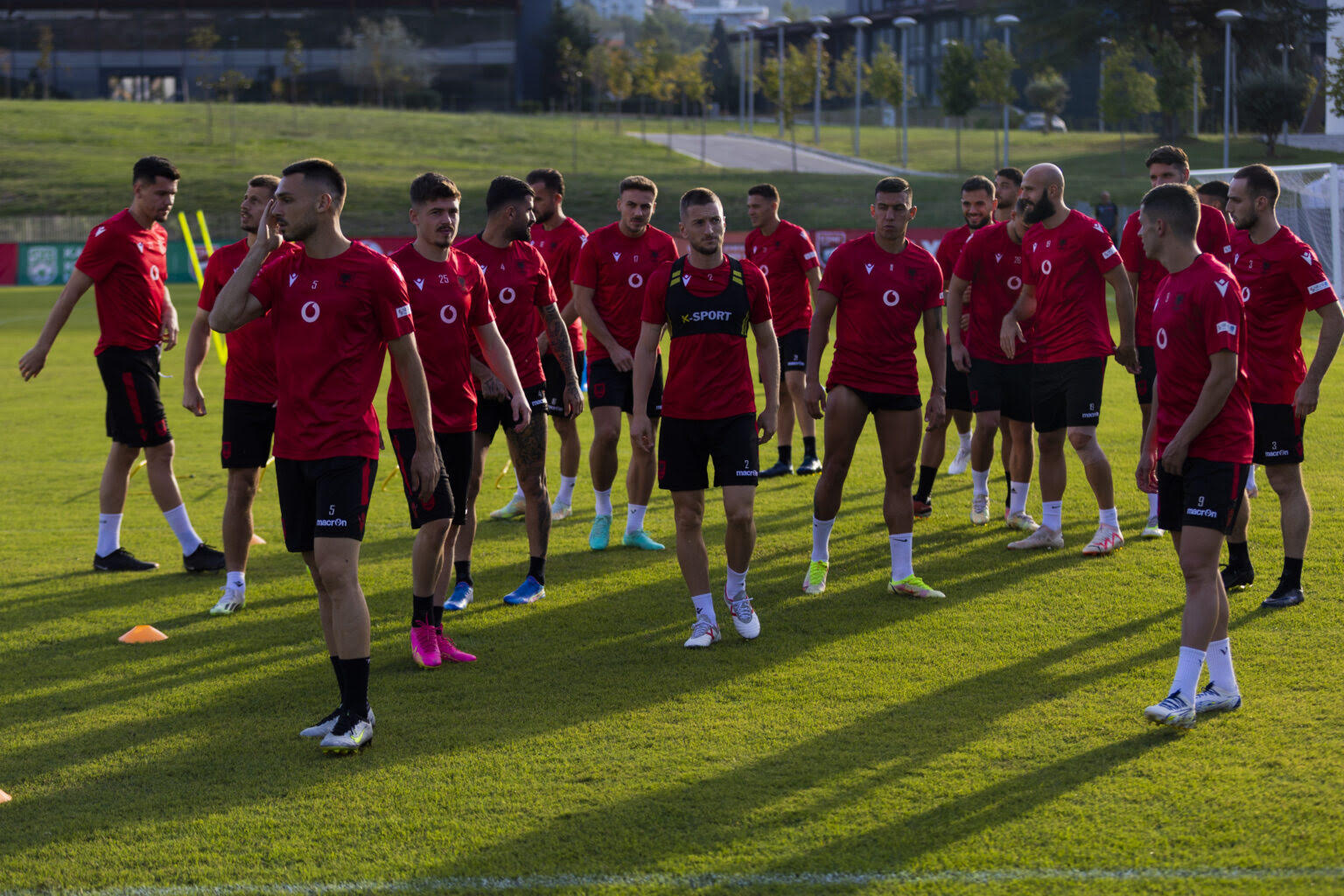 Broja shfaq probleme fizike, Gjasula bashkohet me grupin, Bare në pikëpyetje për Çekinë