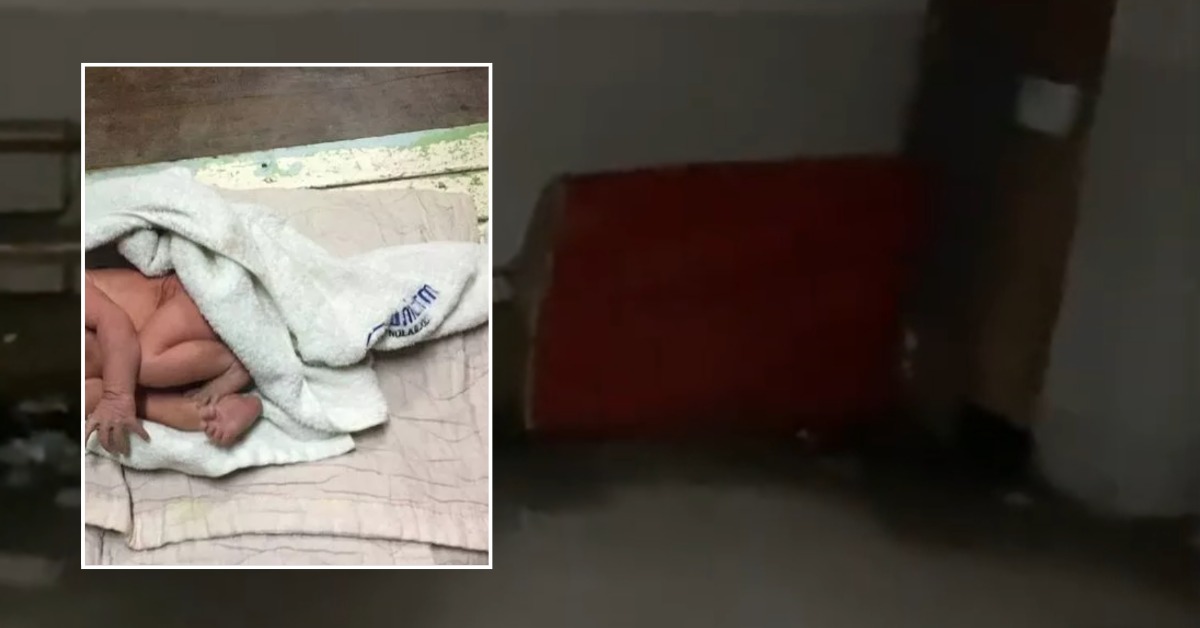 Foshnja i braktisur erdhi në jetë në divanin e bodrumit, kamerat fiksuan nënën