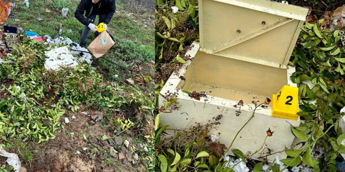 Të miturit vjedhin kasafortën e xhamisë