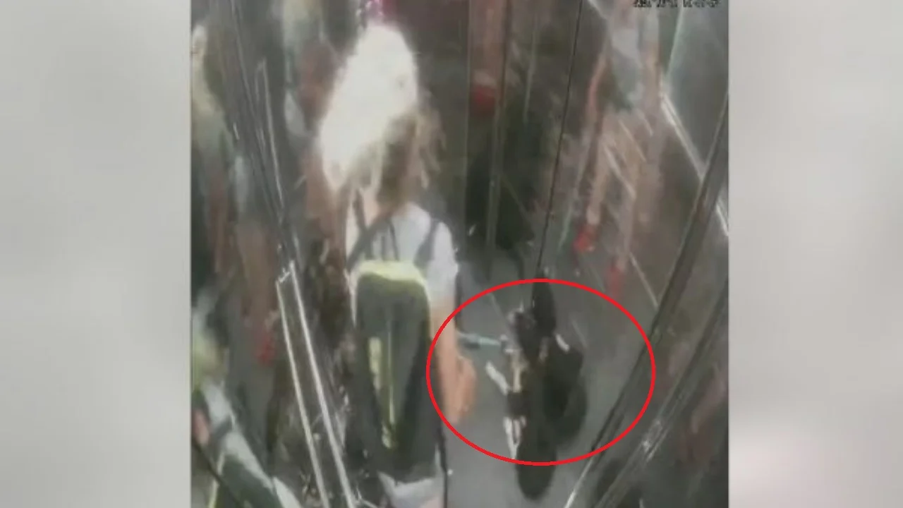 Dhunoi qentë në ashensor, merret nën hetim 51-vjeçarja në Tiranë