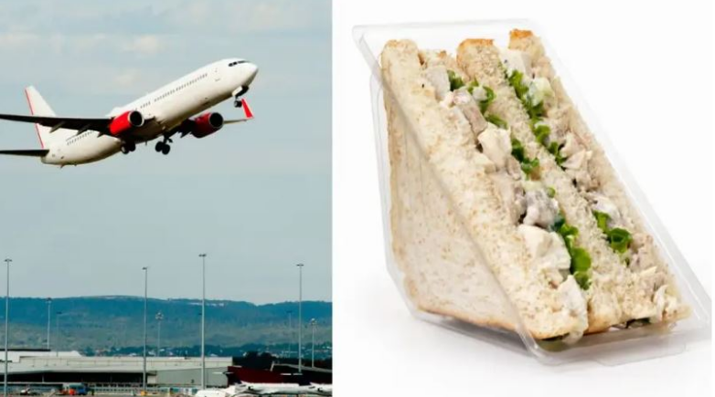 77-vjeçarja gjobitet në avion, për një sanduiç pule që mori me vete!